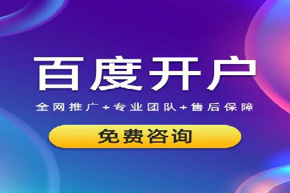 SEM专员的角色与成功案例解析